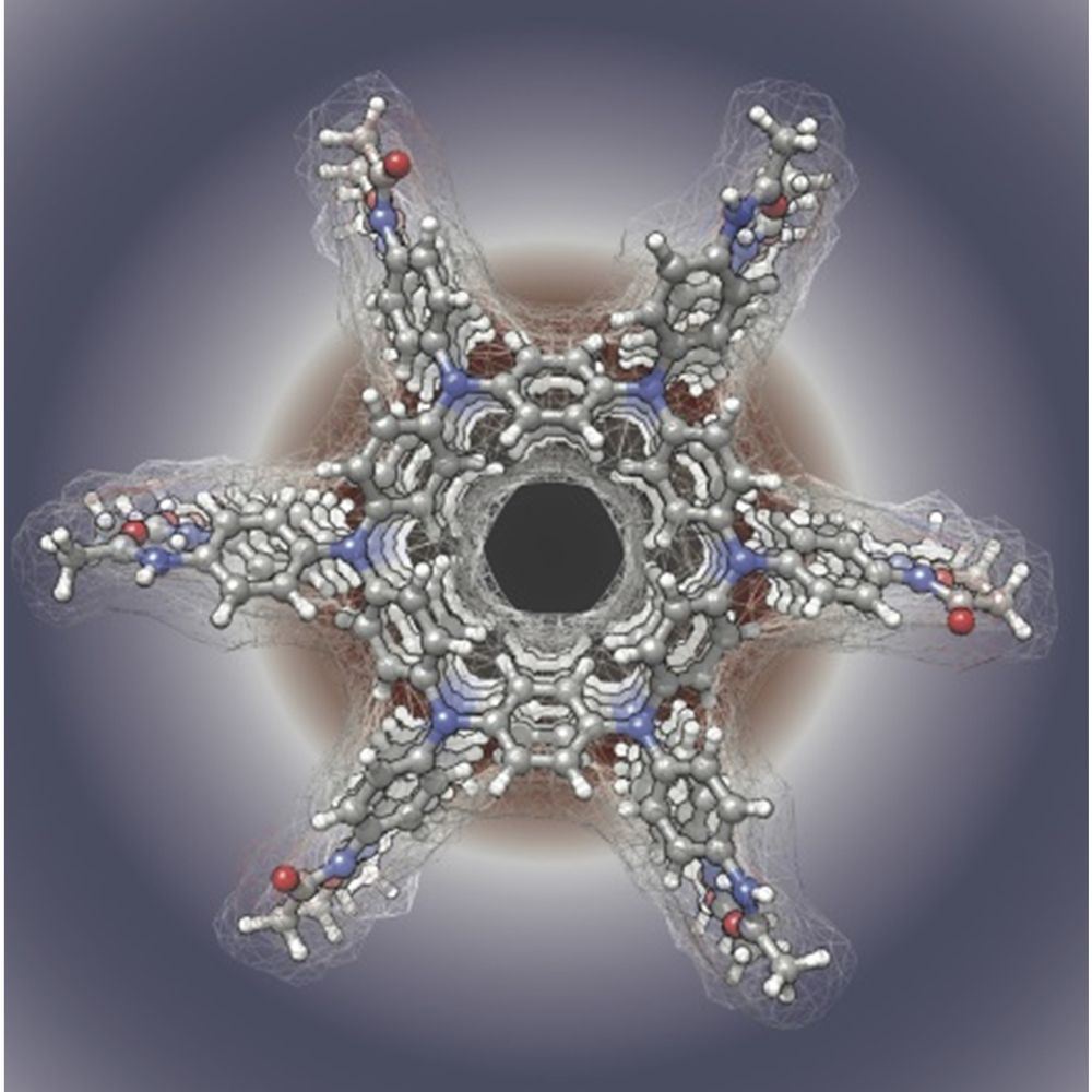 Giuseppone Lab