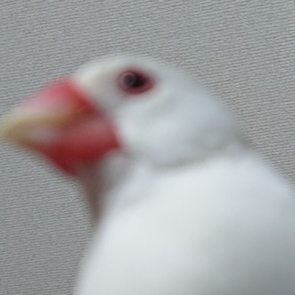 むや