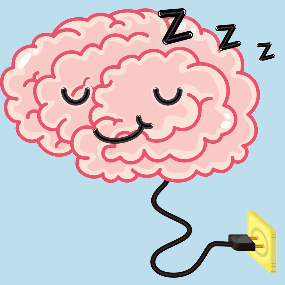 Sleep Science Podcast