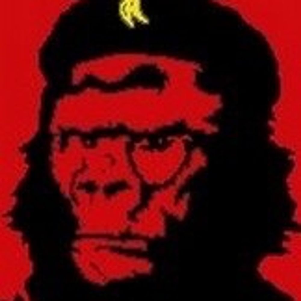 Gorilla Radio