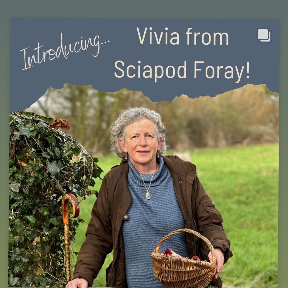 Sciapod Social