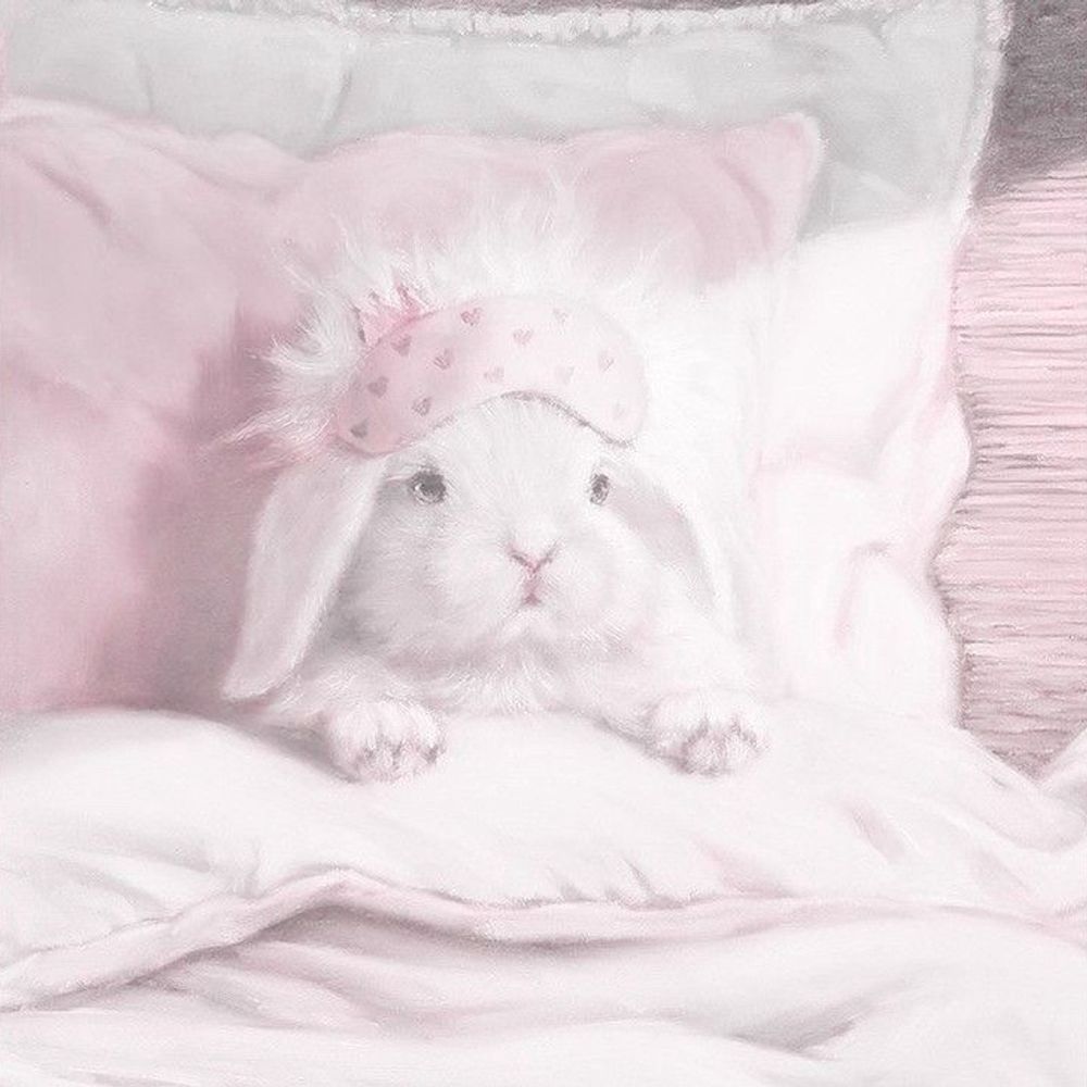 うさぎ