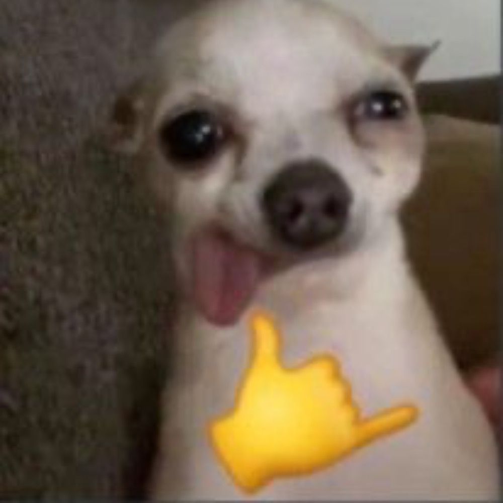 webviçosa 