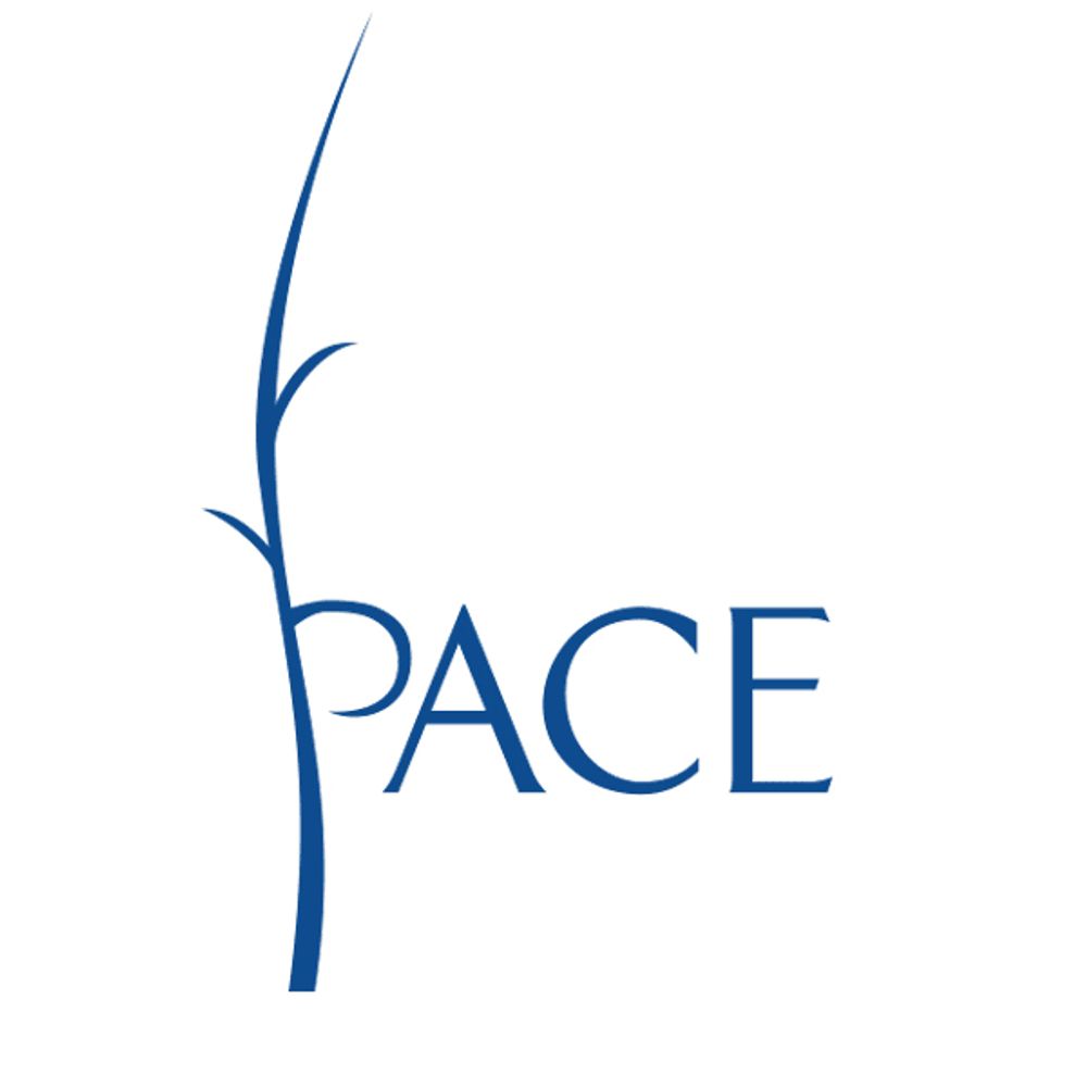 PACE Social Enterprise