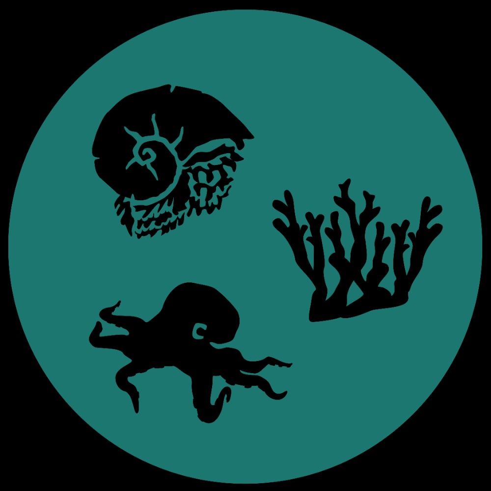 Senckenberg Ocean Species Alliance (SOSA)