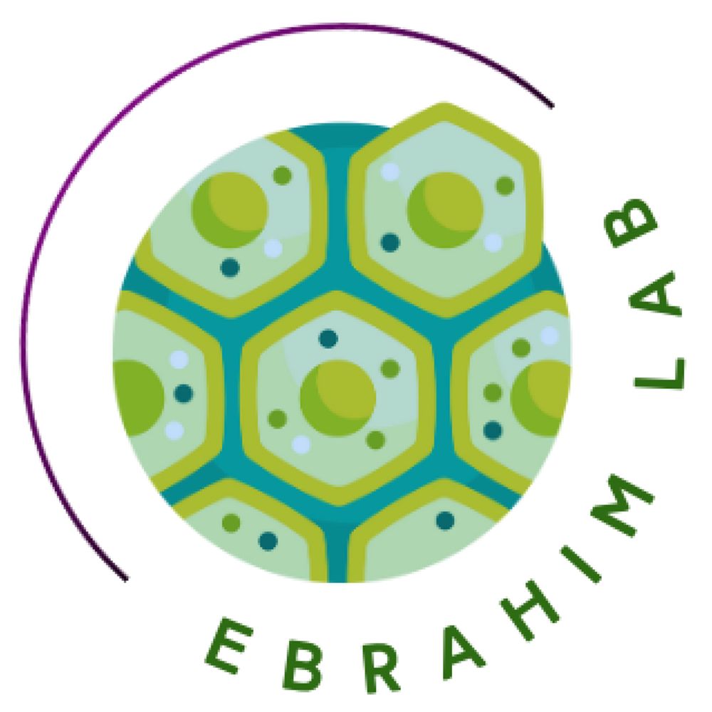 Ebrahim Lab