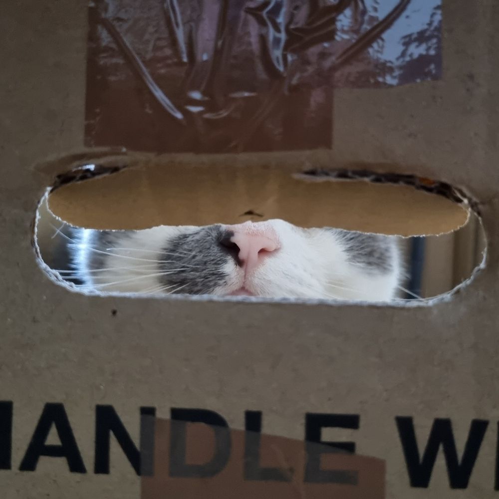 Harry (👁looking for work👁)