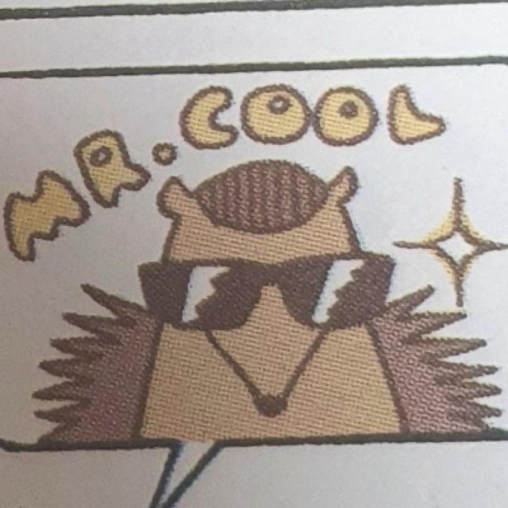 Mr.raccoon