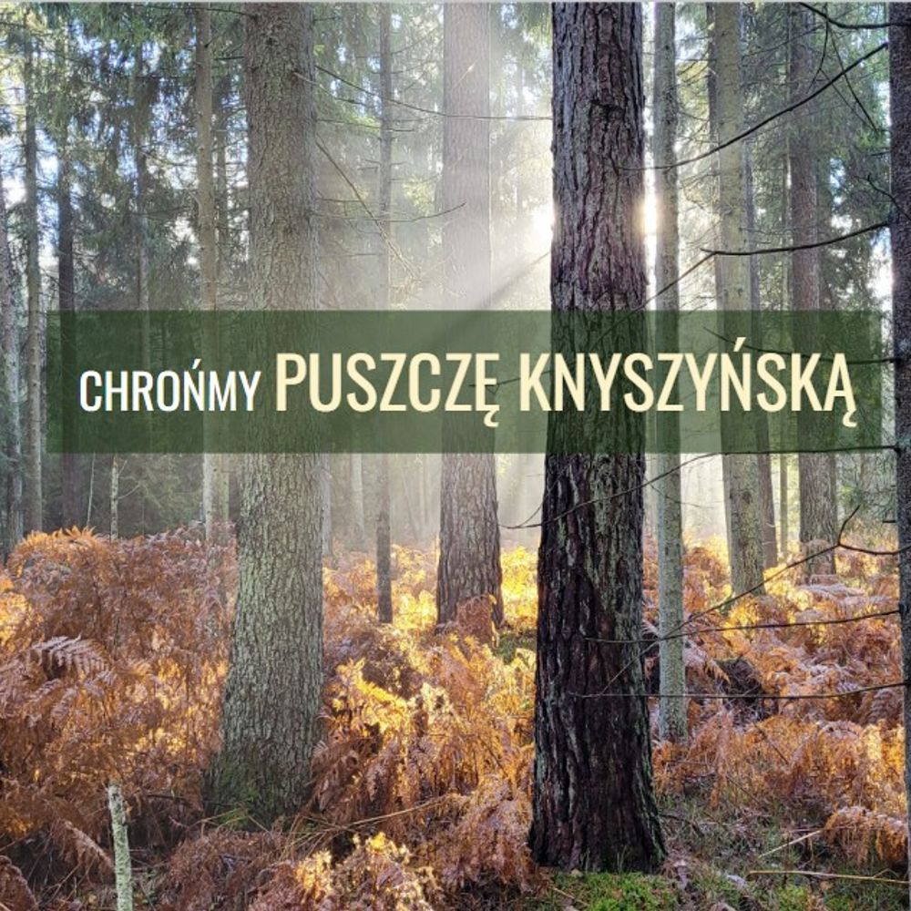 Chrońmy PUSZCZĘ KNYSZYŃSKĄ