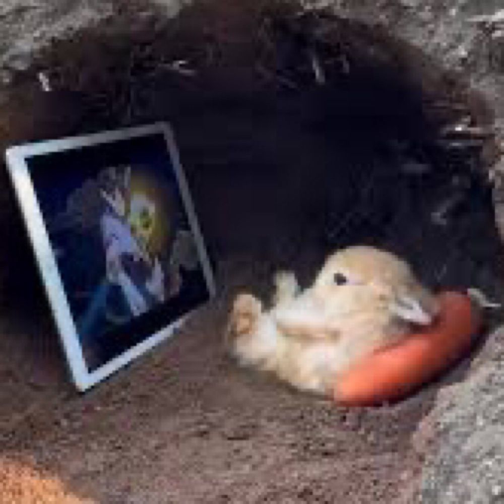 FunnyBunny