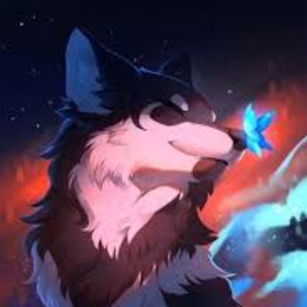 Derp19
