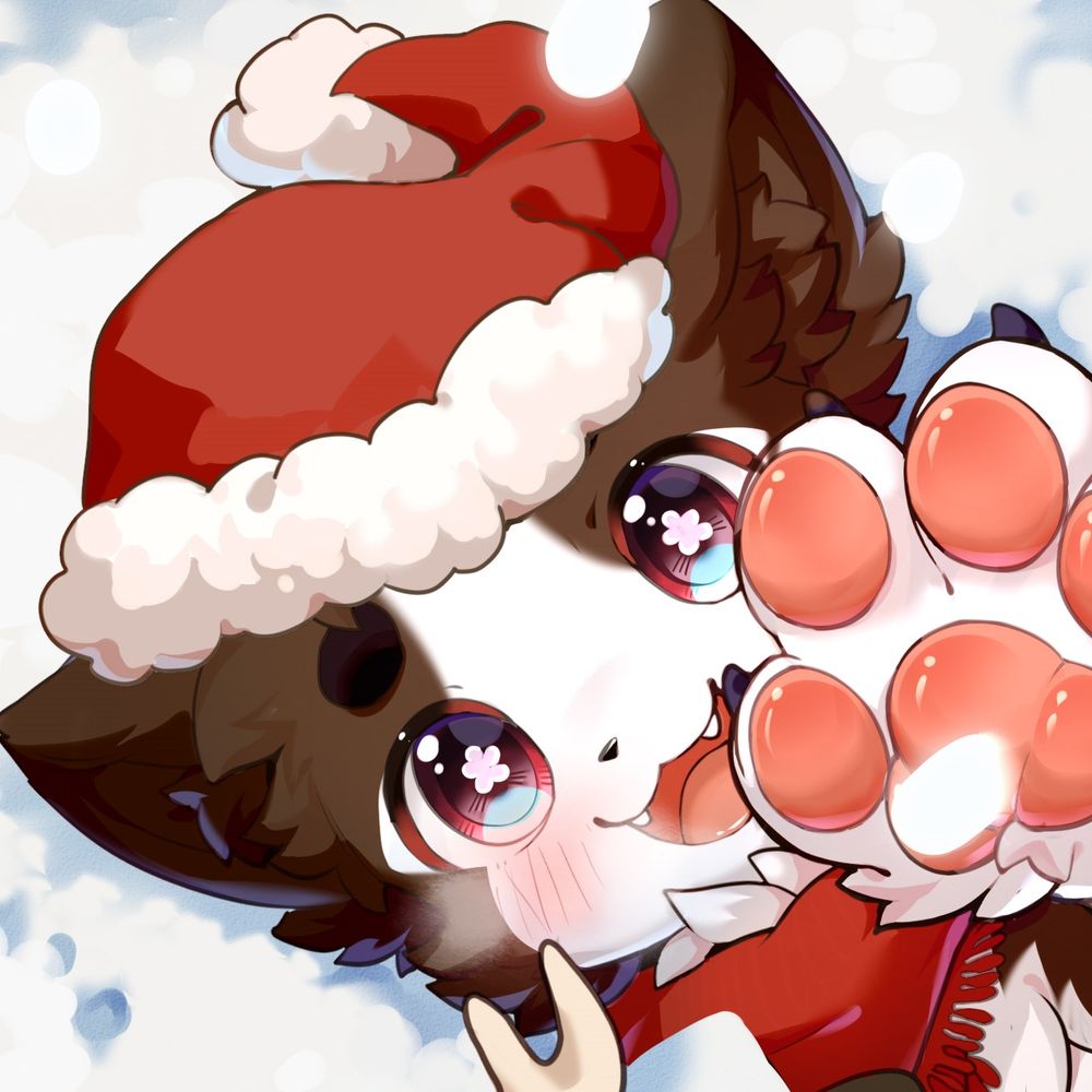 hachi