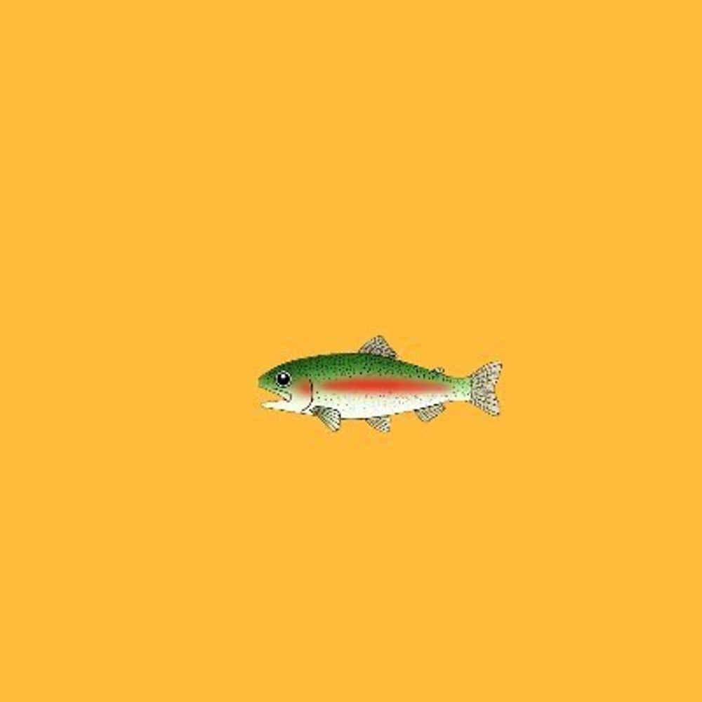 ニジマス釣り