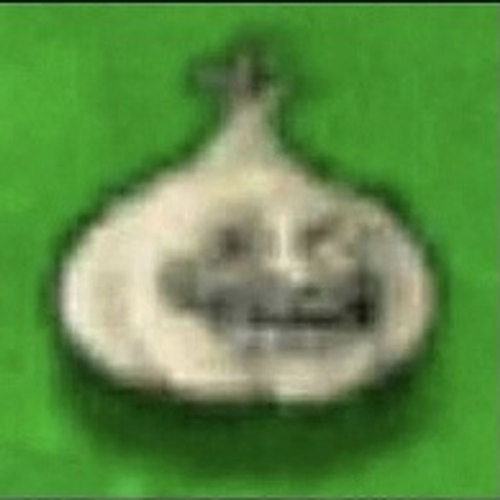 Natex008