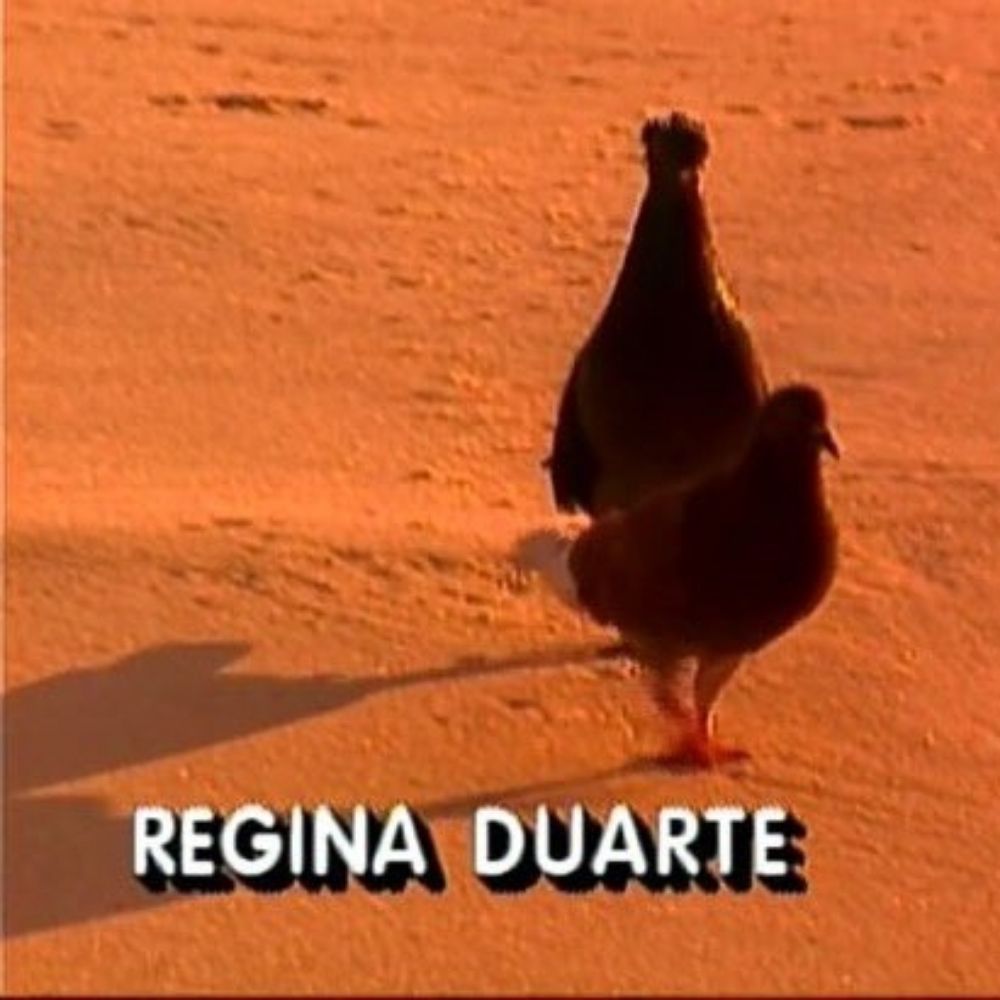 pombo regina duarte