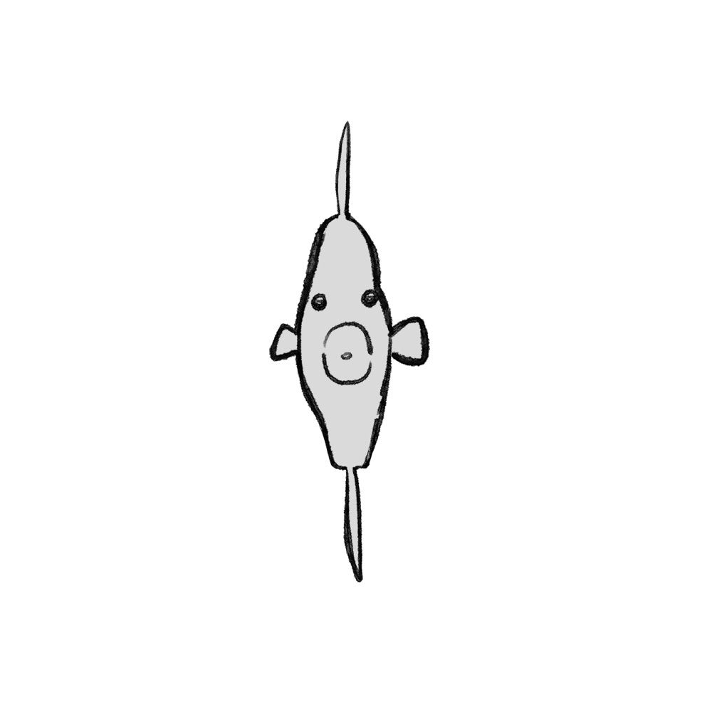 さ