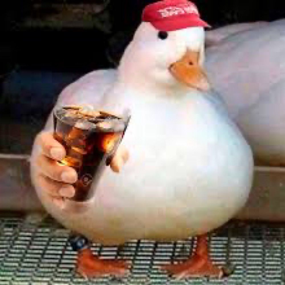 ShinyDuck