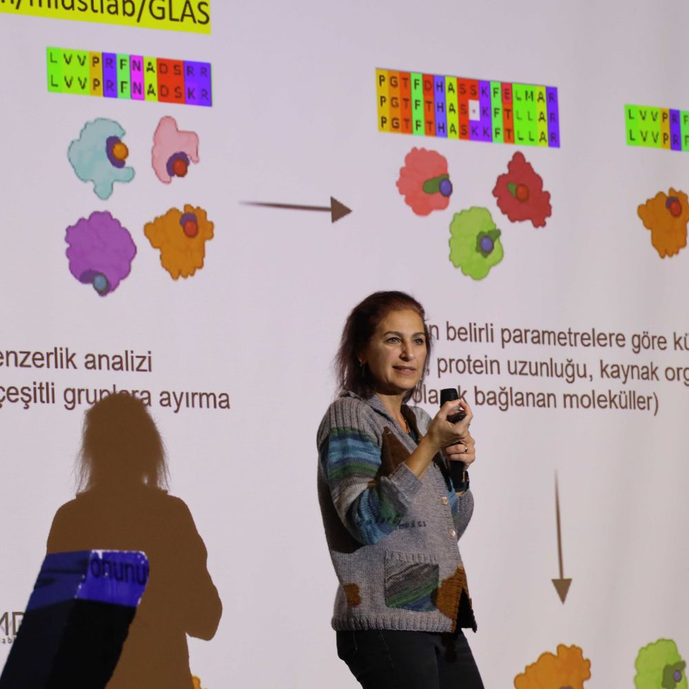 Canan ATILGAN