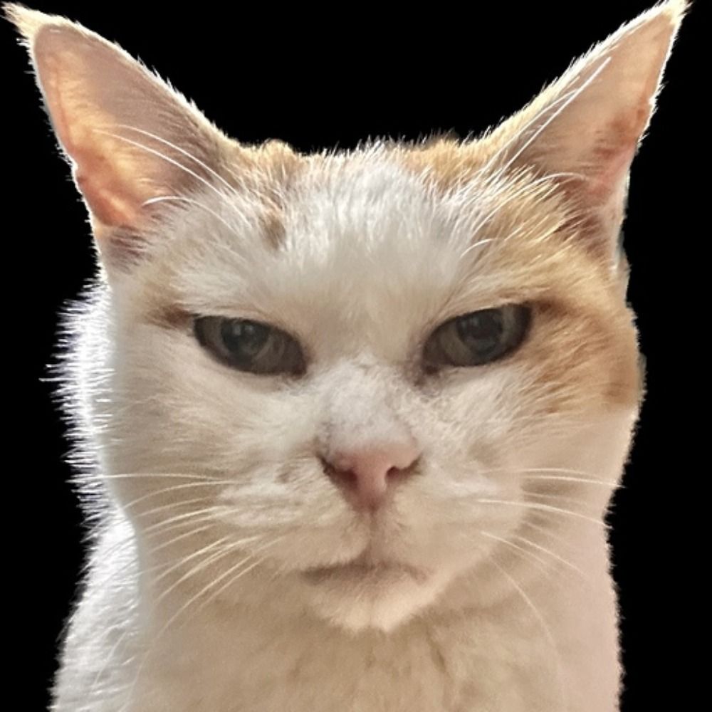 Sumiya