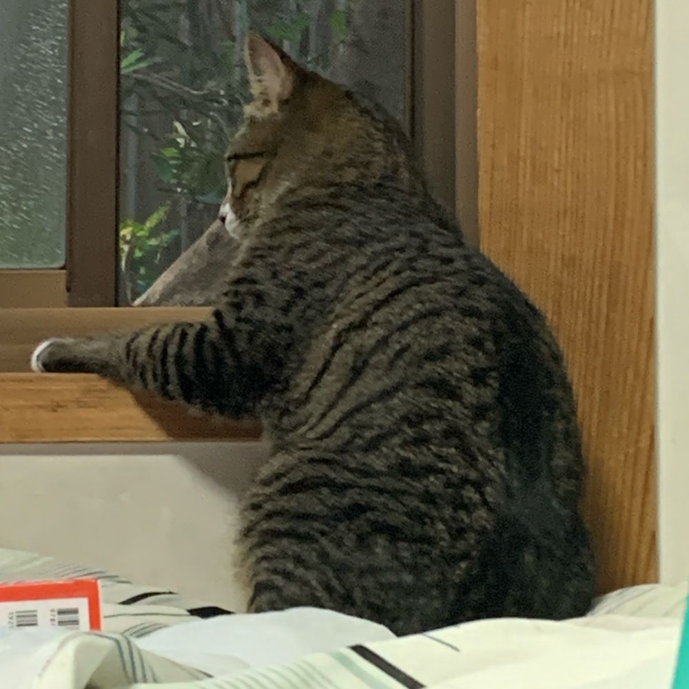 タケシ