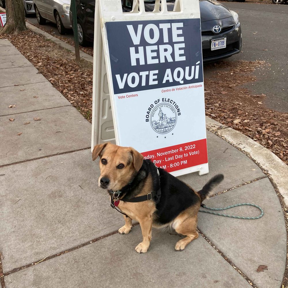 electionline