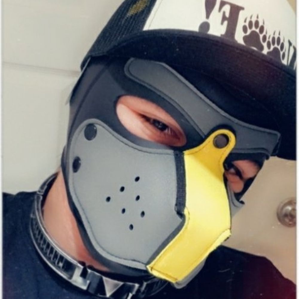☆WULF☆