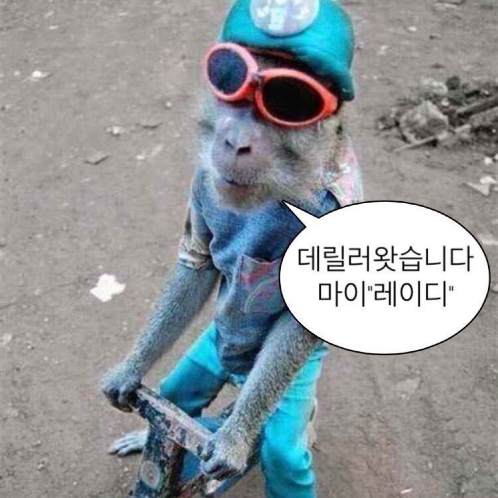 우끼