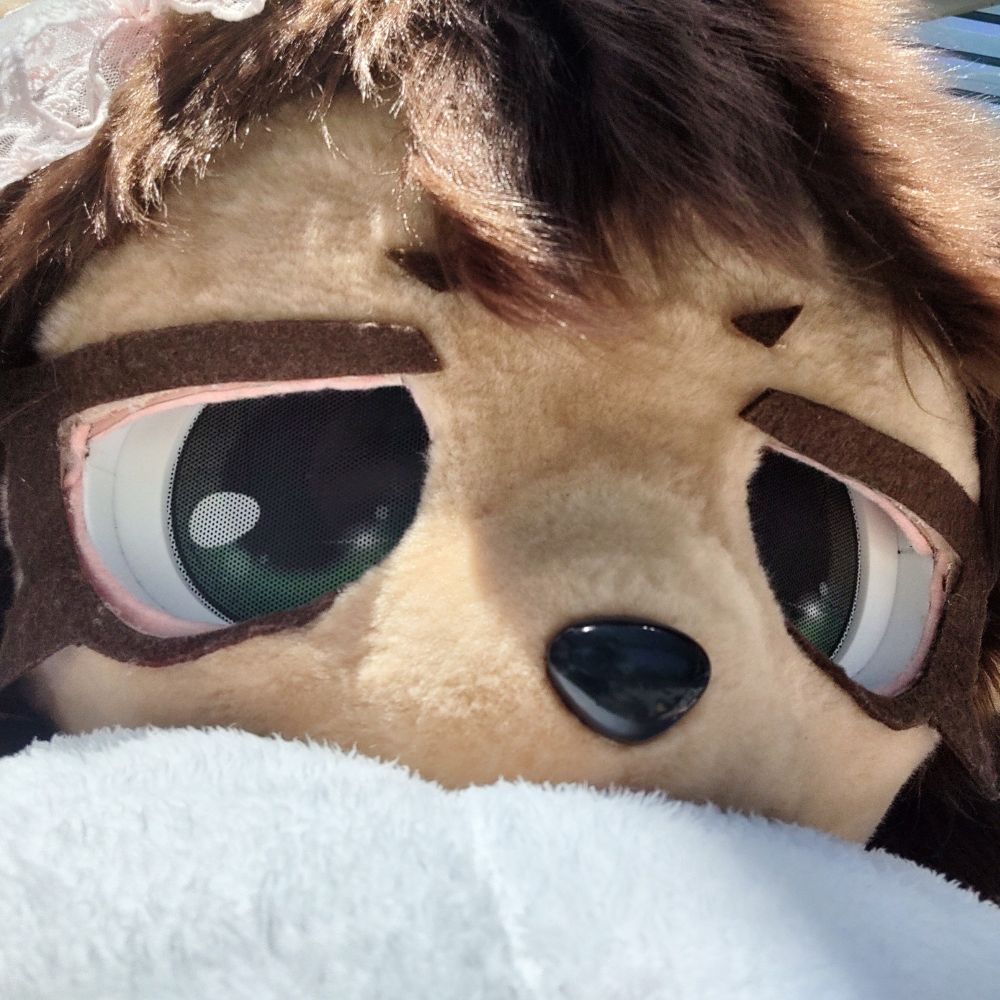 Hazel Bear