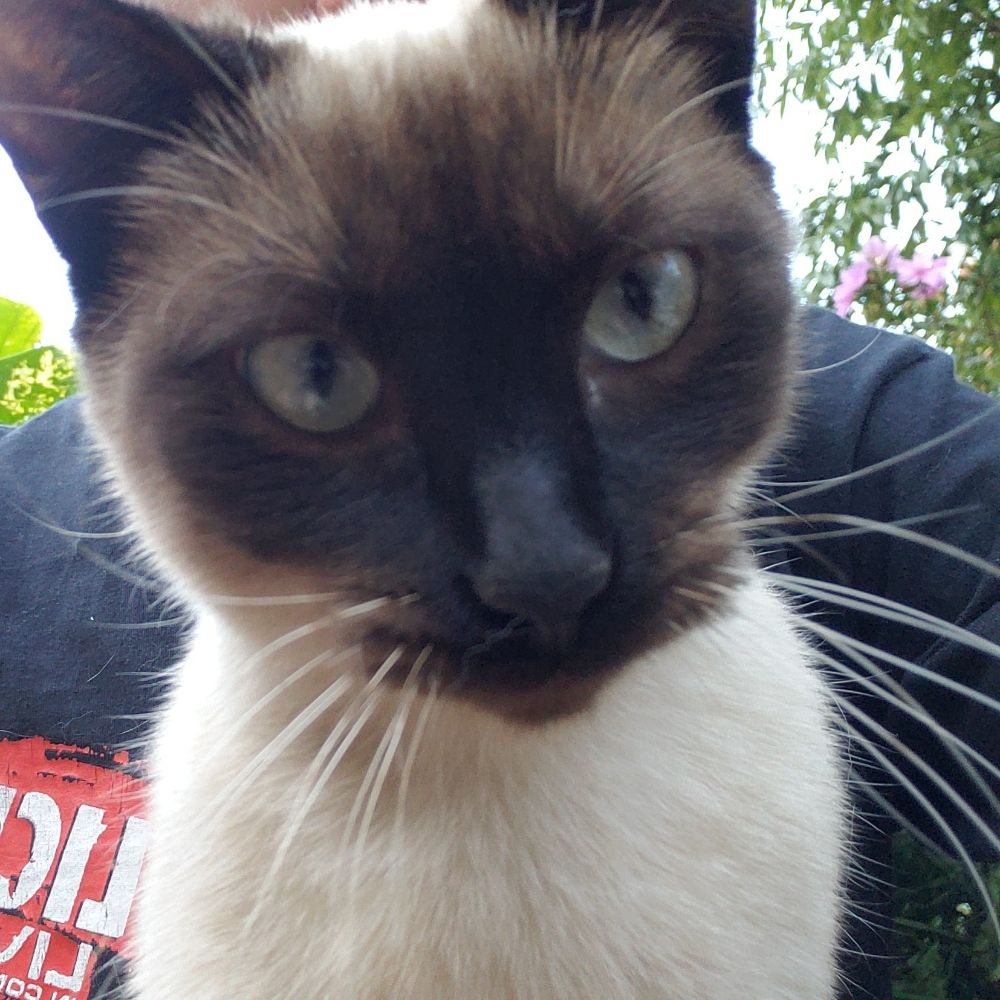 Felipe