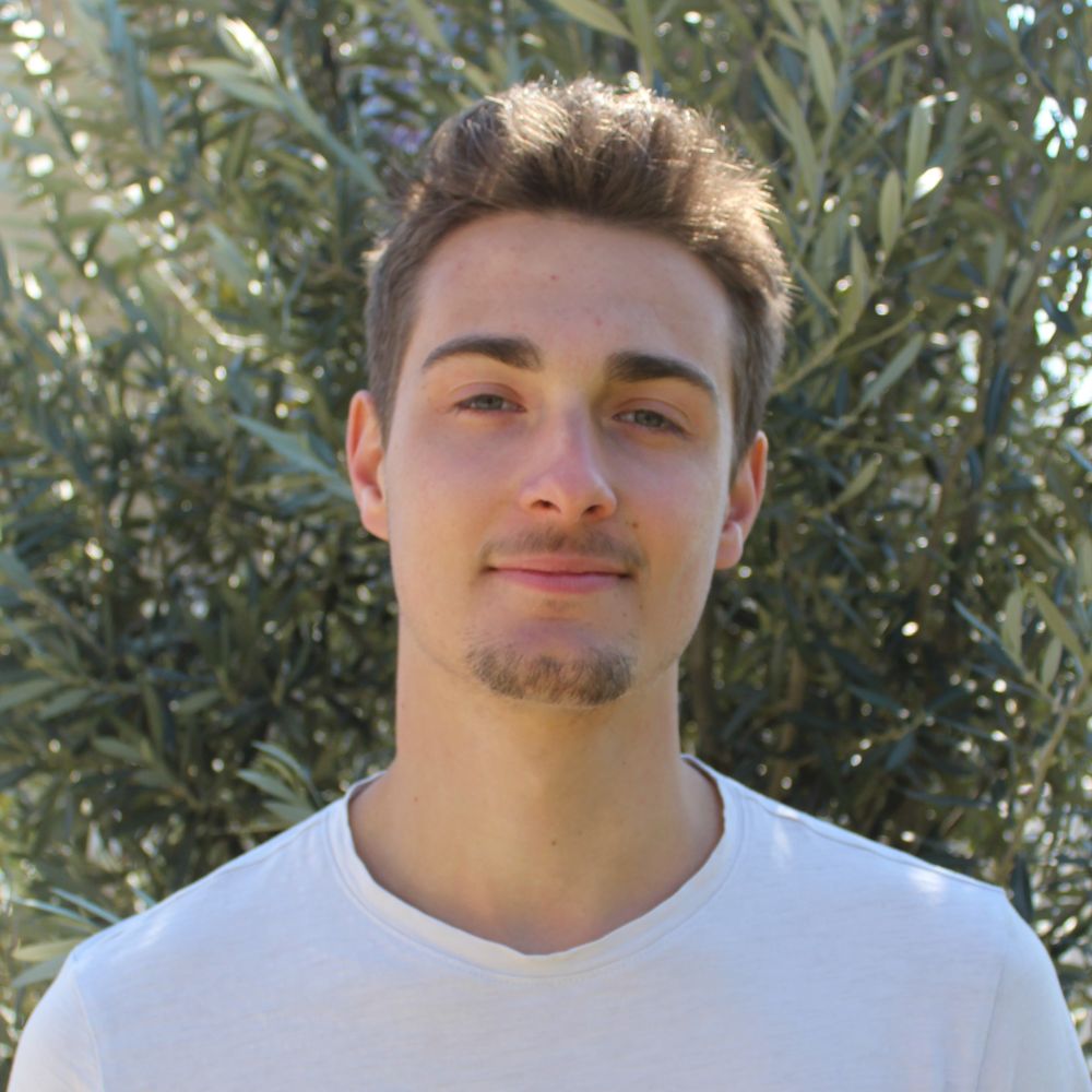 Tim Mesnil