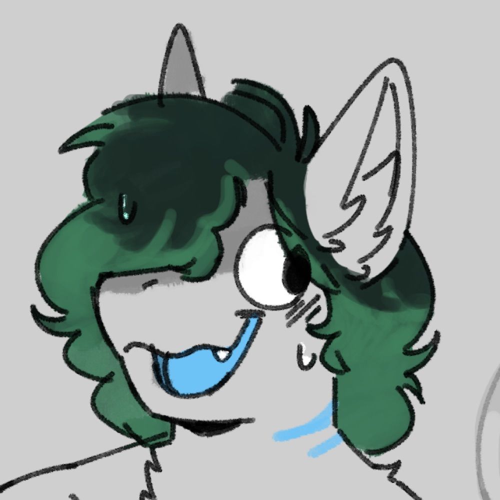 Cinna 🦈🦭
