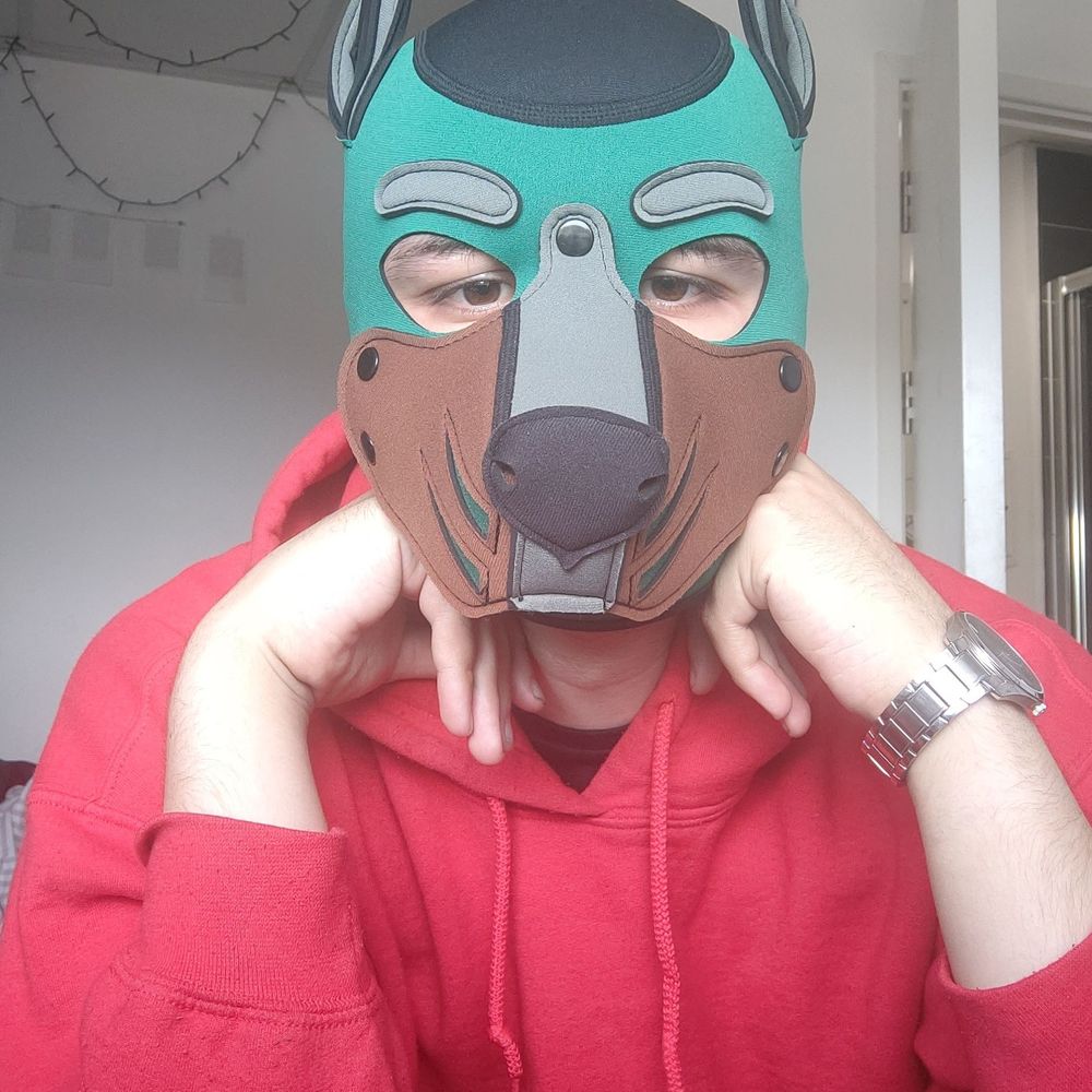 Pup Lumos 