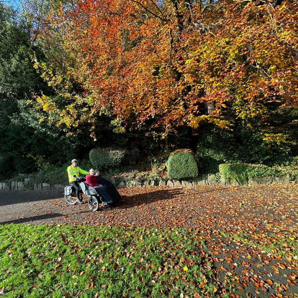 Beartown Rickshaw