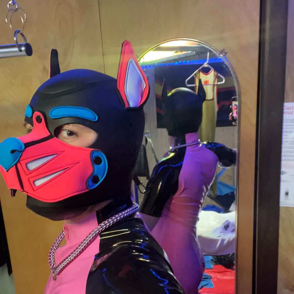 PupMitt _FF 🔜 MIR29