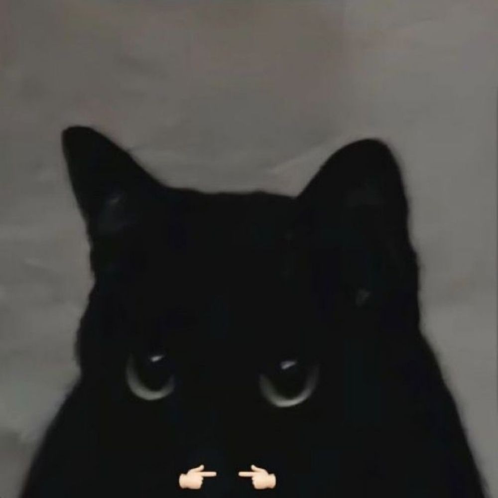 pittiklikedy