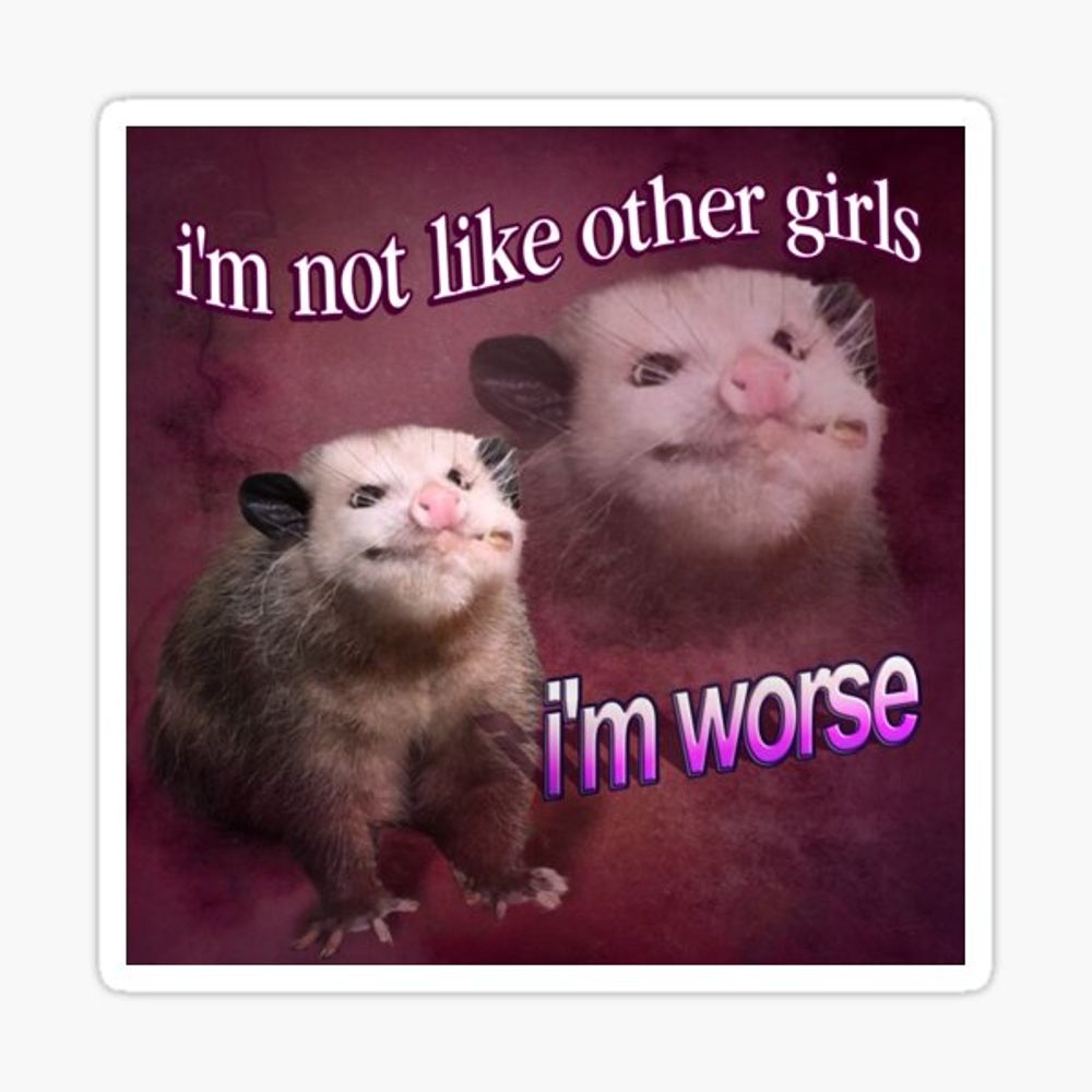 That feral opossum 
