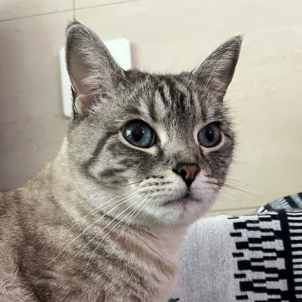 바람은차고