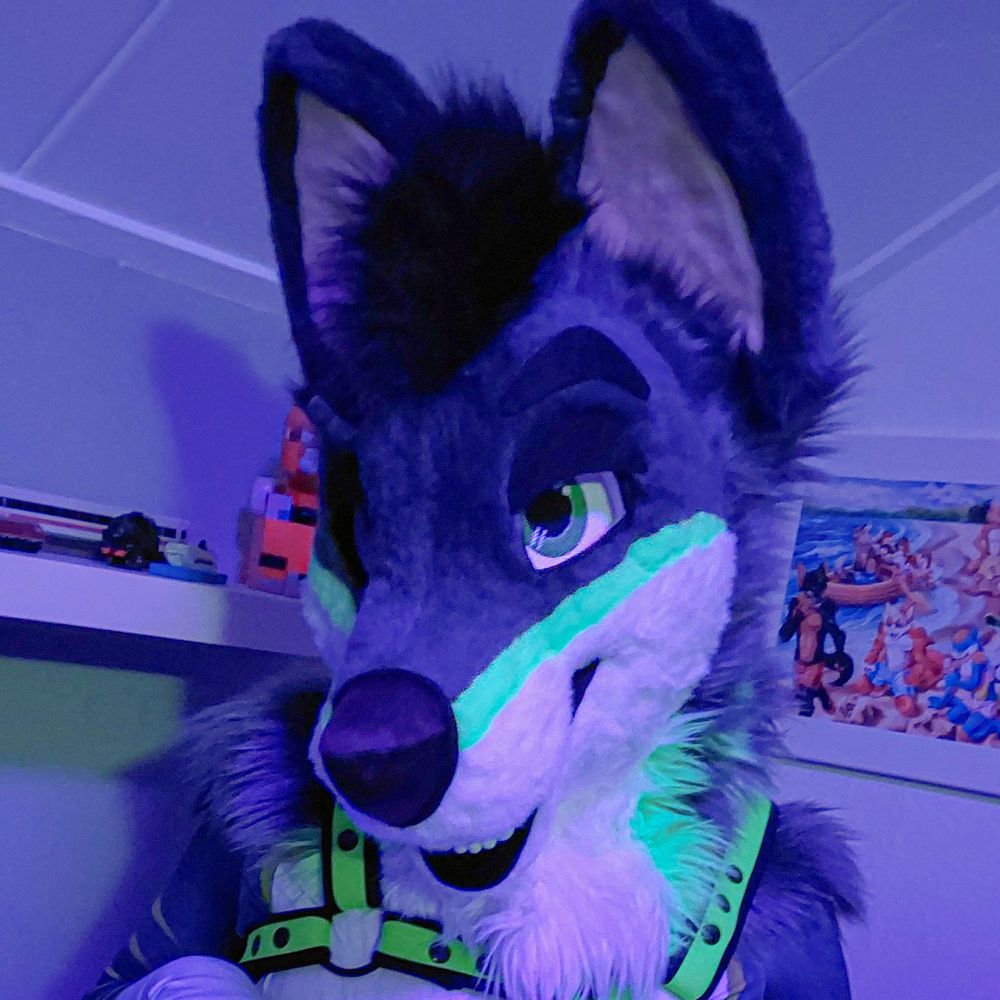 Rayzar Wolf AD