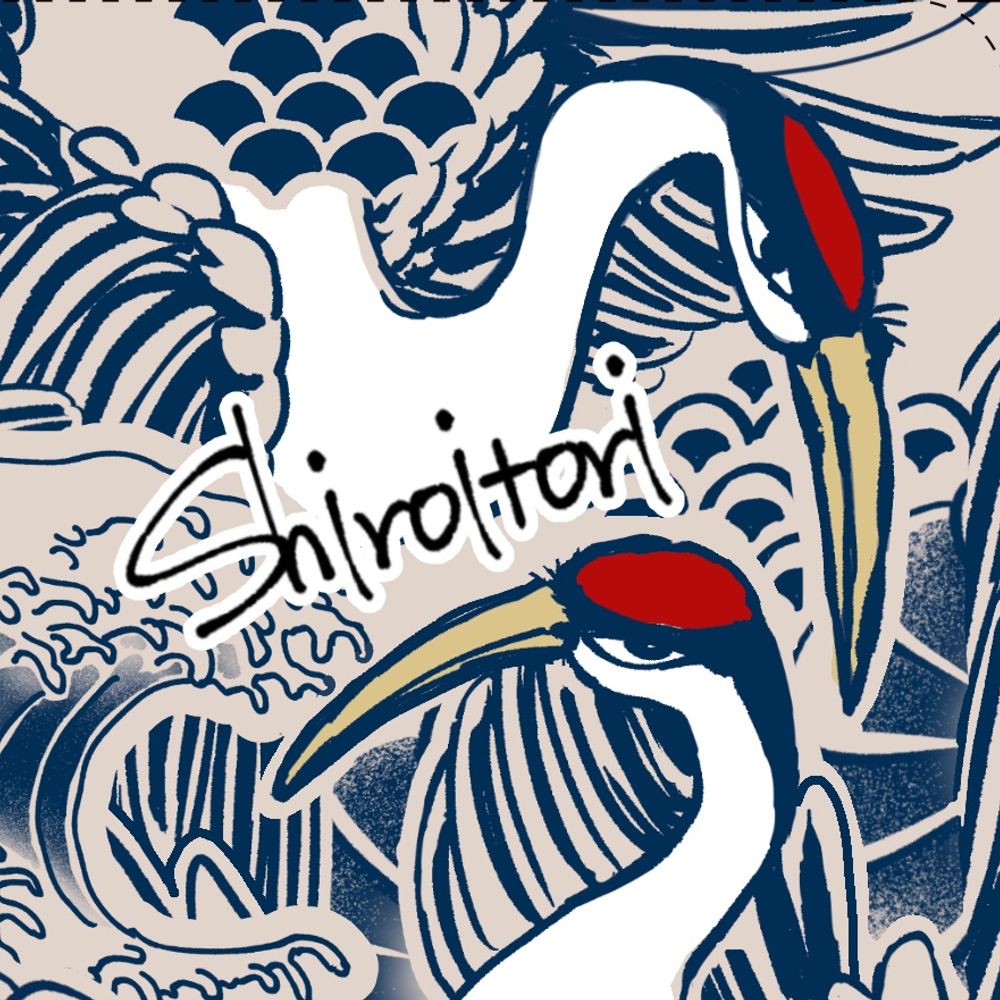 白い鳥肉
