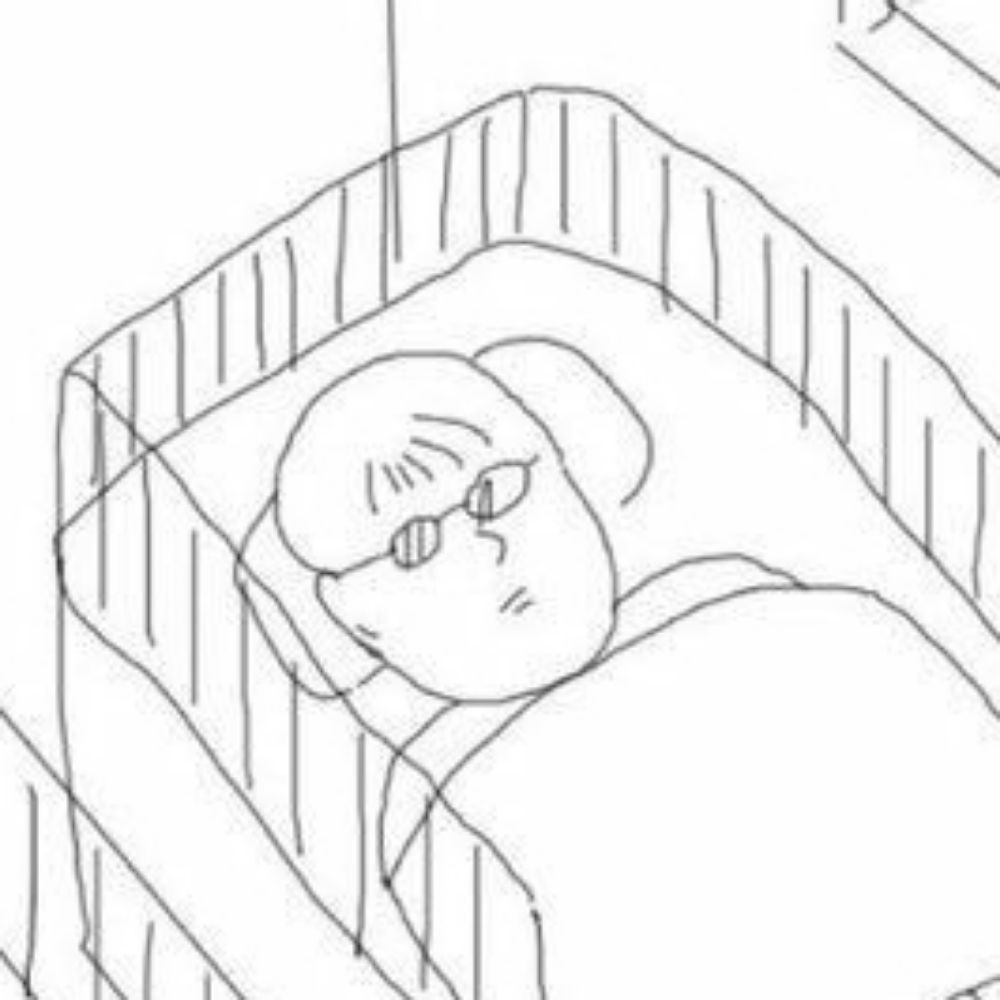 양이