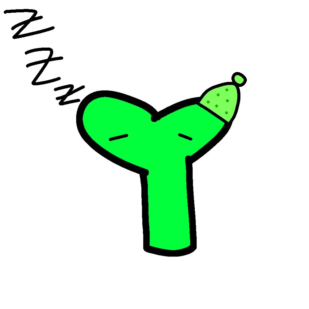 새싹