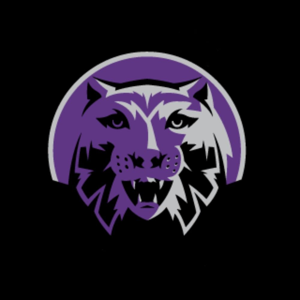 Bring on the Cats