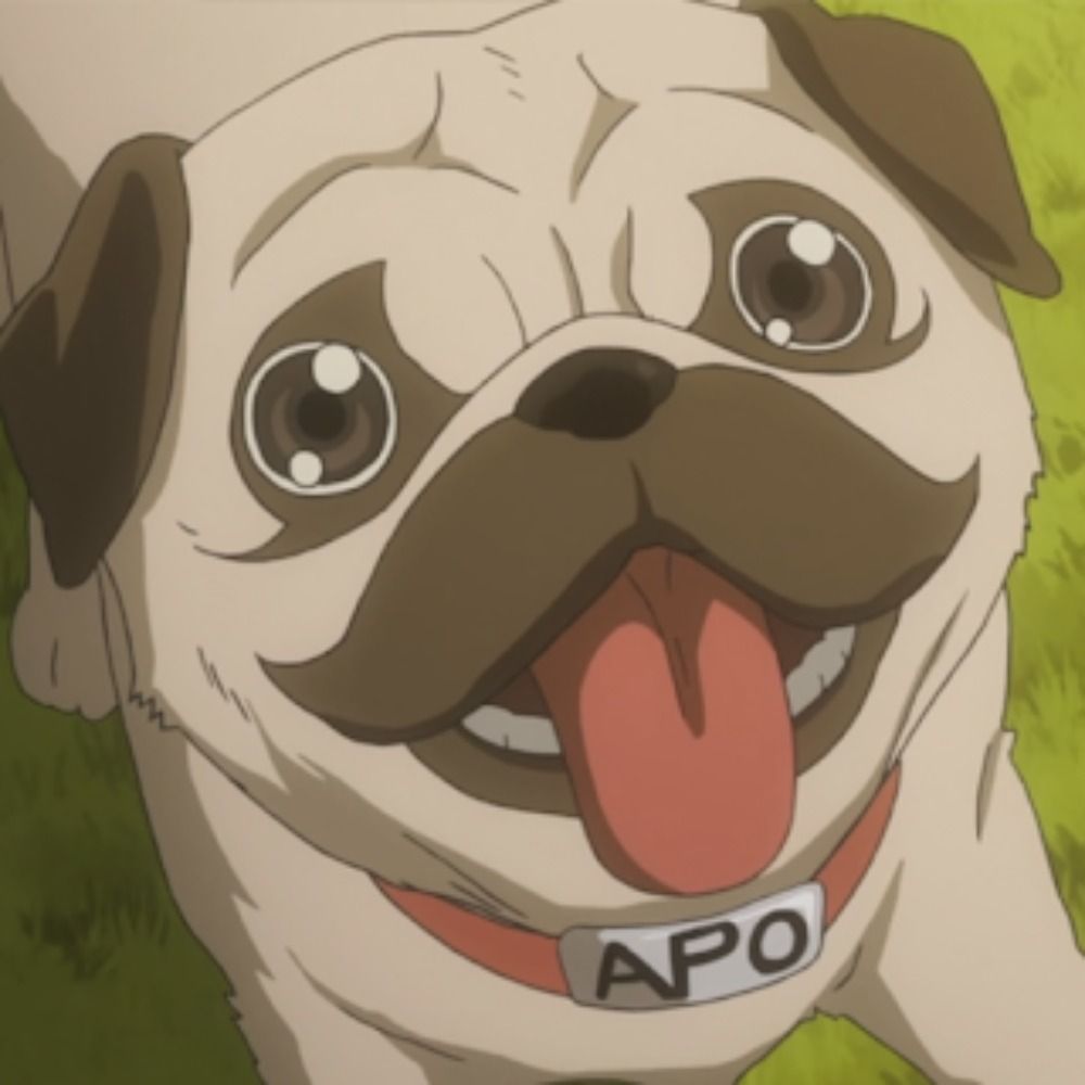 Iniciativa Kyoudai