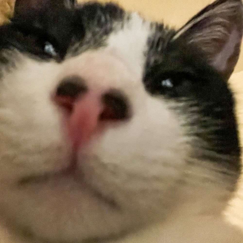 Cacá 💋 