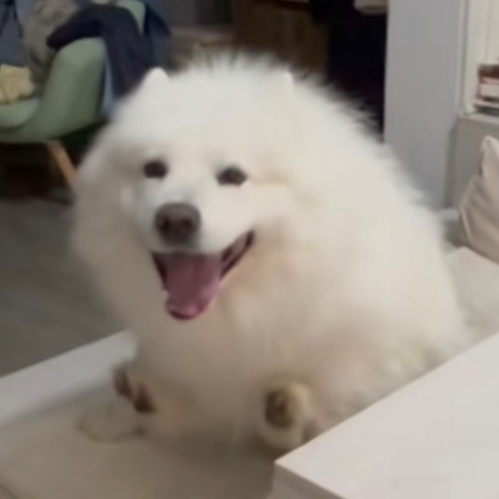 XIMU