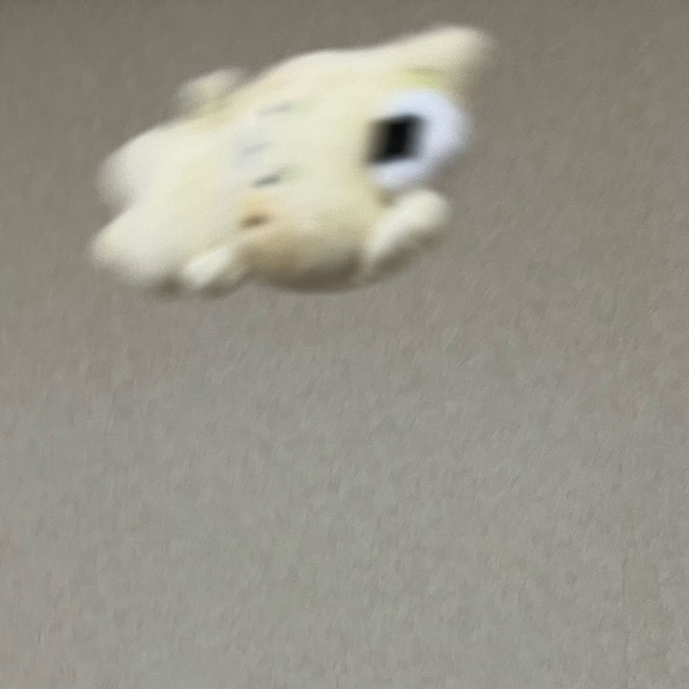 転職したいﾈｺﾁｬﾝ