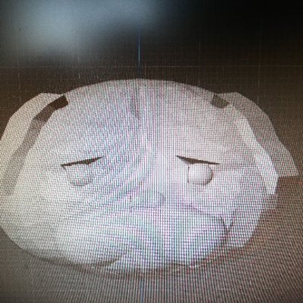 パンダ