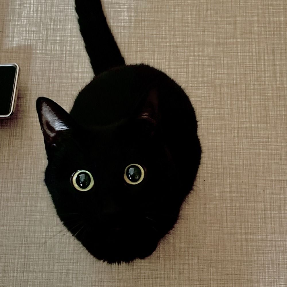あふ