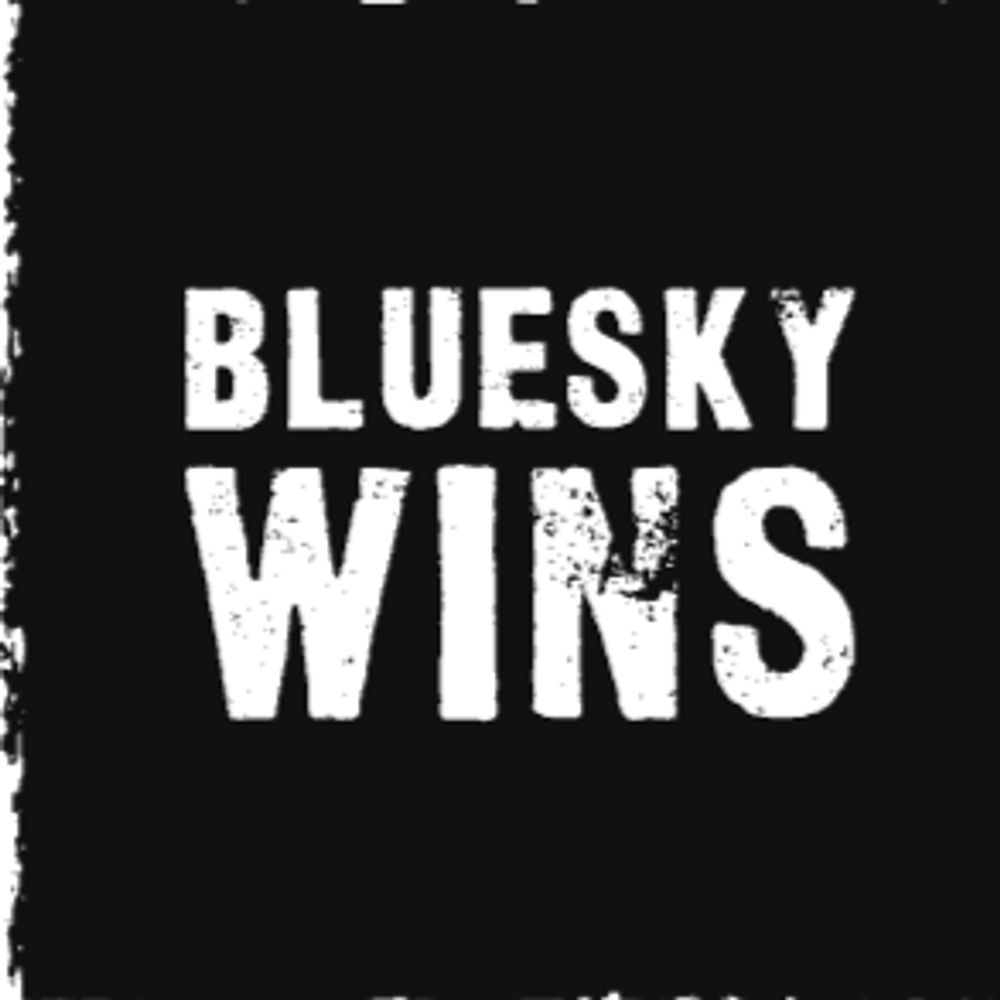 Belgian Bluesky Wins
