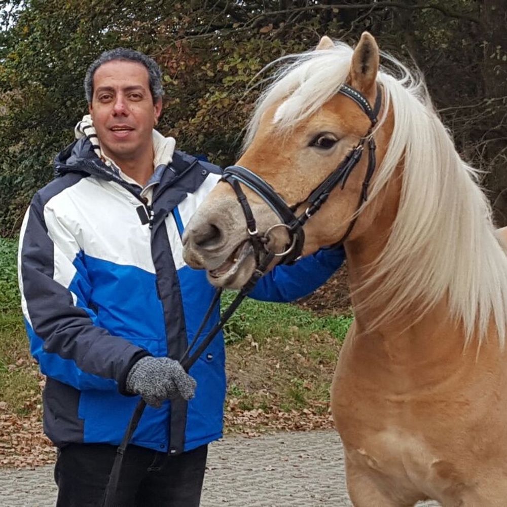 Ahmed Hegazy